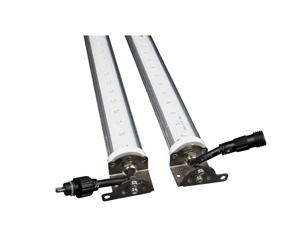 Clone Light – Carson High Yield